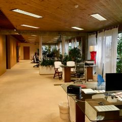 Deze zaken kun je automatiseren binnen jouw bedrijf